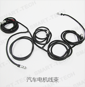汽車電機(jī)線束 汽車電機(jī)線束