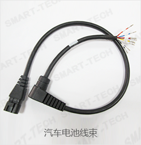 汽車電池線束 汽車電池線束